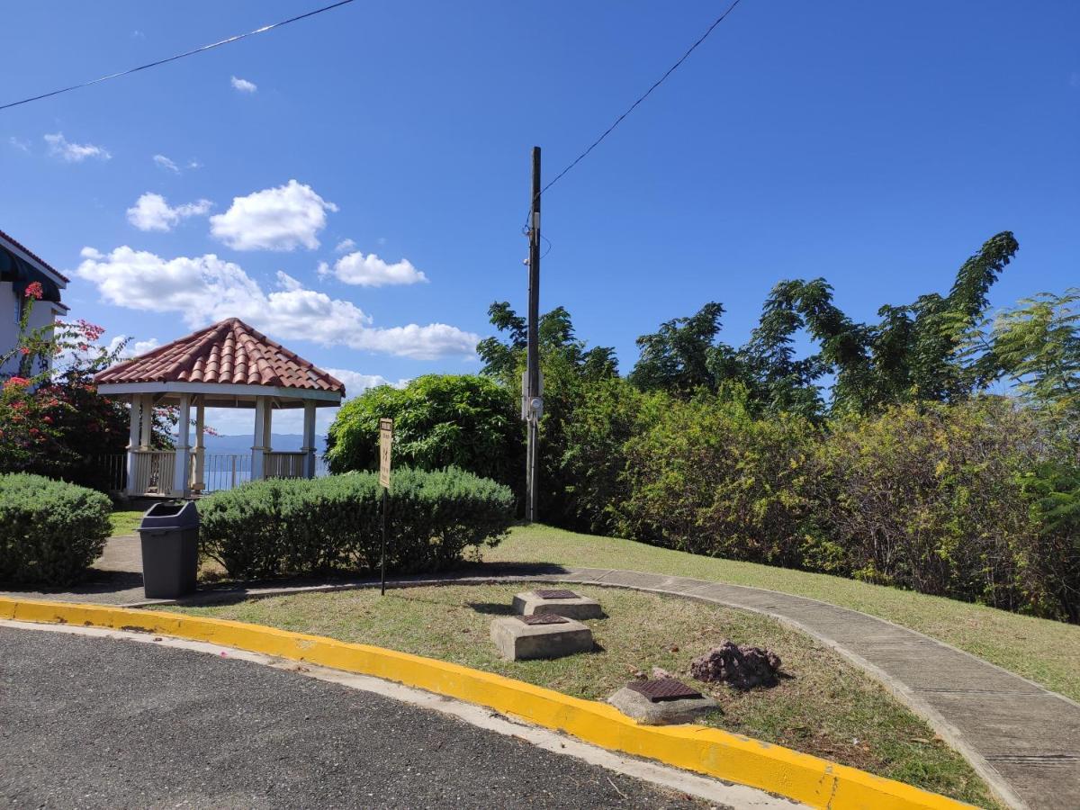 Montego Bay Garden Studio Exteriör bild